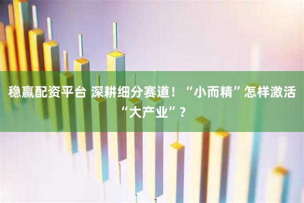 稳赢配资平台 深耕细分赛道！“小而精”怎样激活“大产业”？
